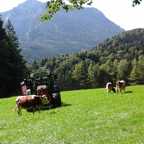 Der Oberhauserhof in Bildern